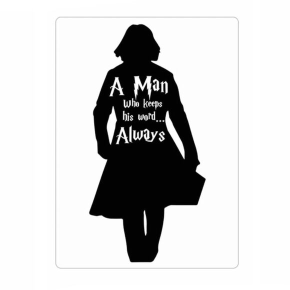Harry Potter Severus Magnet - Picture 1 of 5